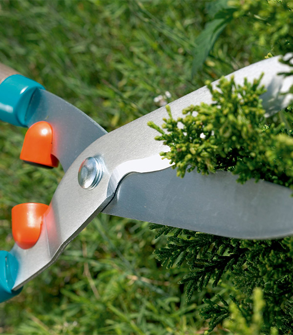 фото Ножницы для живой изгороди gardena classic 540 fsc® механические блестящие 00398-20
