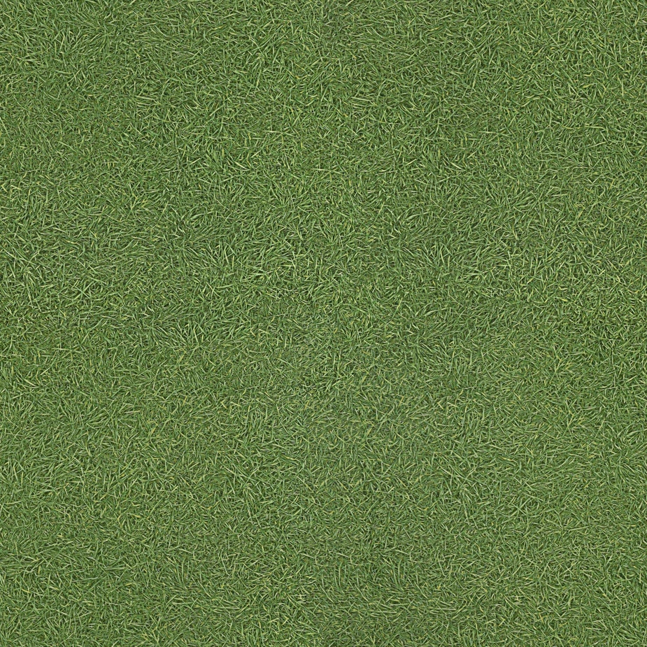 Фото «Линолеум IVC Vision Grass T25 полукоммерческий 3 м» в г. Гатчина