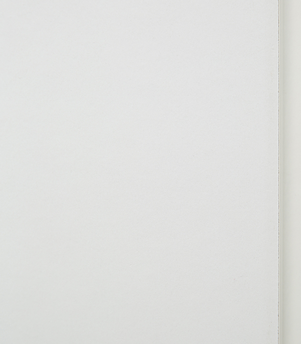 Дверное полотно Verda ДПГ белое глухое ламинированная финишпленка 920х2036 мм с притвором